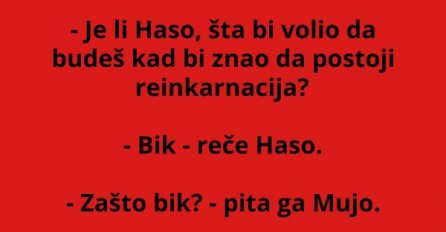 VIC: Pita Mujo Hasu, šta bi volio…