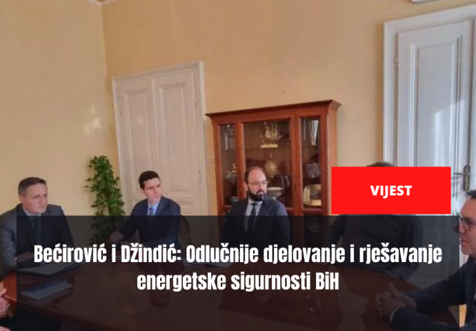 Bećirović i Džindić: Odlučnije djelovanje i rješavanje energetske sigurnosti BiH