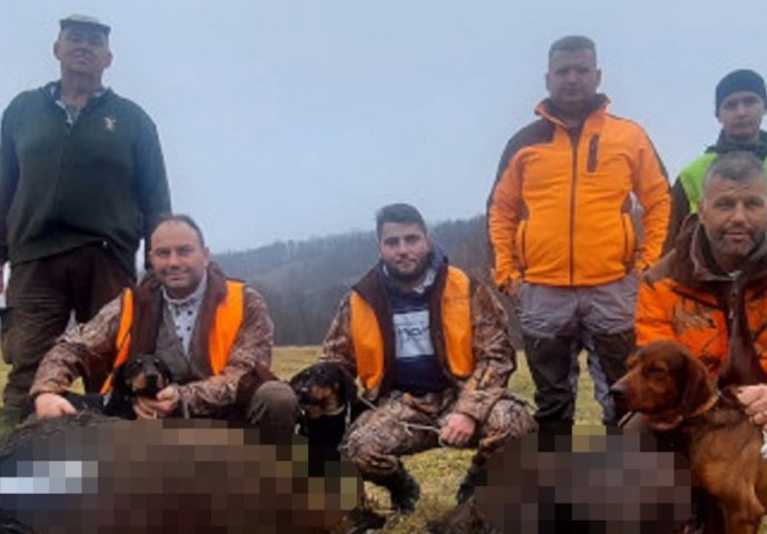 Napokon ULOVLJENA DIVLJA ZVIJER u Srbiji koja je ulivala strah u kosti mještanima: Lovci ustrijelili grdosiju do 150 kilograma