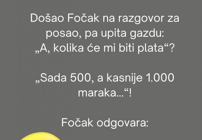 VIC DANA: Došao Fočak na razgovor za posao..
