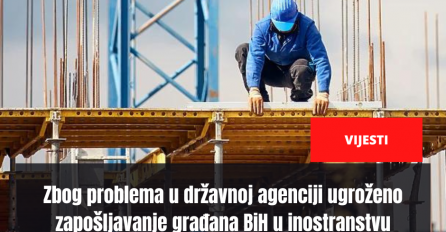 Zbog problema u državnoj agenciji ugroženo zapošljavanje građana BiH u inostranstvu