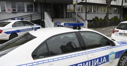 Ukrali jagnje pa pobjegli, jurili ih vlasnici, pa svi zajedno sletili sa puta