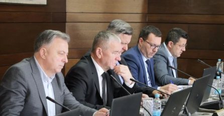 Vlada FBiH donijela odluku o izvozu peleta