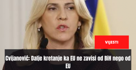 Cvijanović: Dalje kretanje ka EU ne zavisi od BiH nego od EU