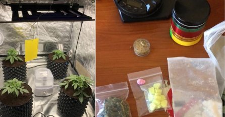 U Sarajevu otkrivena laboratorija za uzgoj droge, 20-godišnjak uhapšen: Oduzeti marihuana, ekstazi i MDMA
