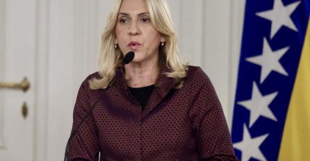 Cvijanović: Politička obaveza CIK-a je da SNSD ne smije imati četiri delegata