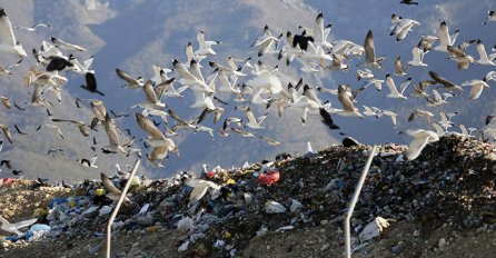 Čak im i prijeti: Gradonačelnik Mostara za probleme na deponiji Uborak okrivio – građane