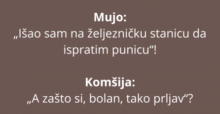 VIC DANA: Mujo u ranu zoru sreo jarana