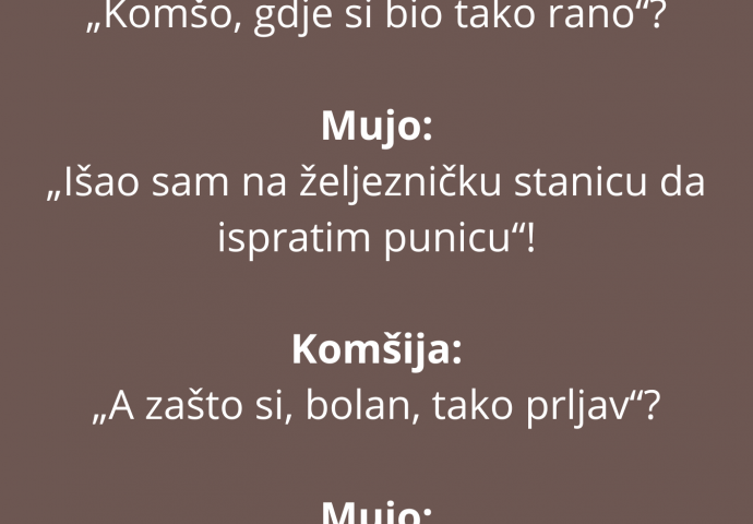 VIC DANA: Mujo u ranu zoru sreo jarana