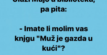 VIC DANA: Ulazi Mujo u biblioteku