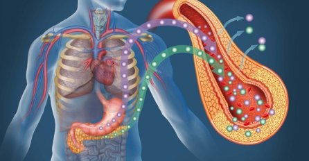 Jedna neočekivana namirnica diže šećer do plafona: Niko ne zna, a bolje da je i nema u kući