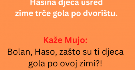 VIC DANA: Došao mujo kod Hase