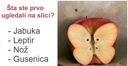 TEST JE TAČAN 98%! ŠTA STE PRVO UGLEDALI NA SLICI?: Evo šta vas čeka u budućnosti