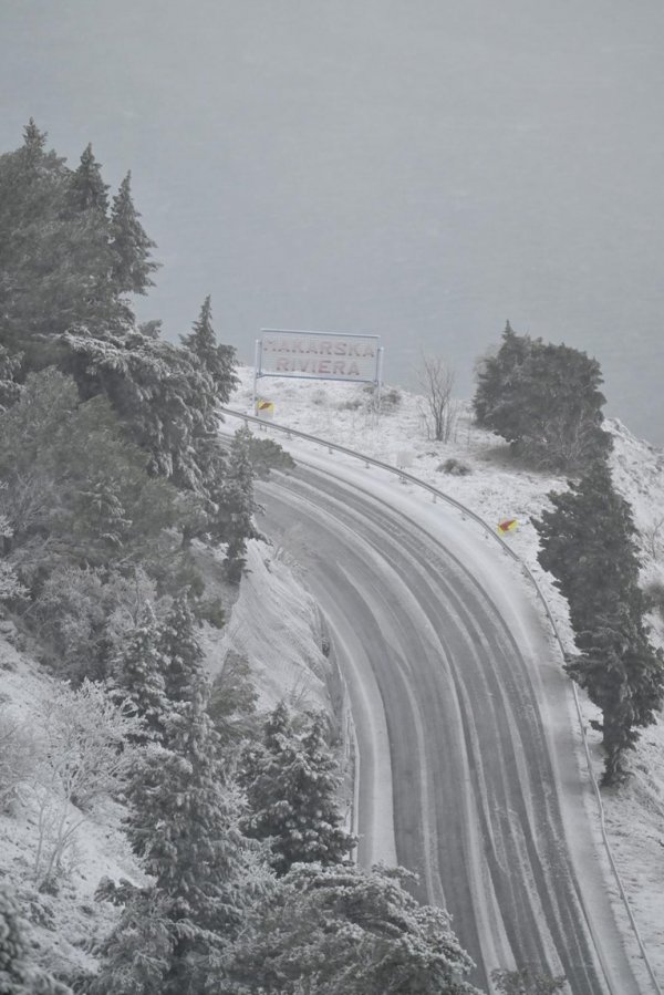 079b683c-ff04-4a6a-ba9e-01431db919d4