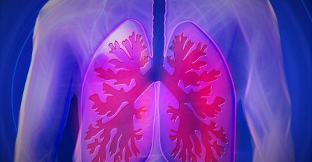 PRAKTIČNE METODE ZA ČIŠĆENJE PLUĆA: Očistite vaša pluća i vratite ih u život u roku od samo 3 dana
