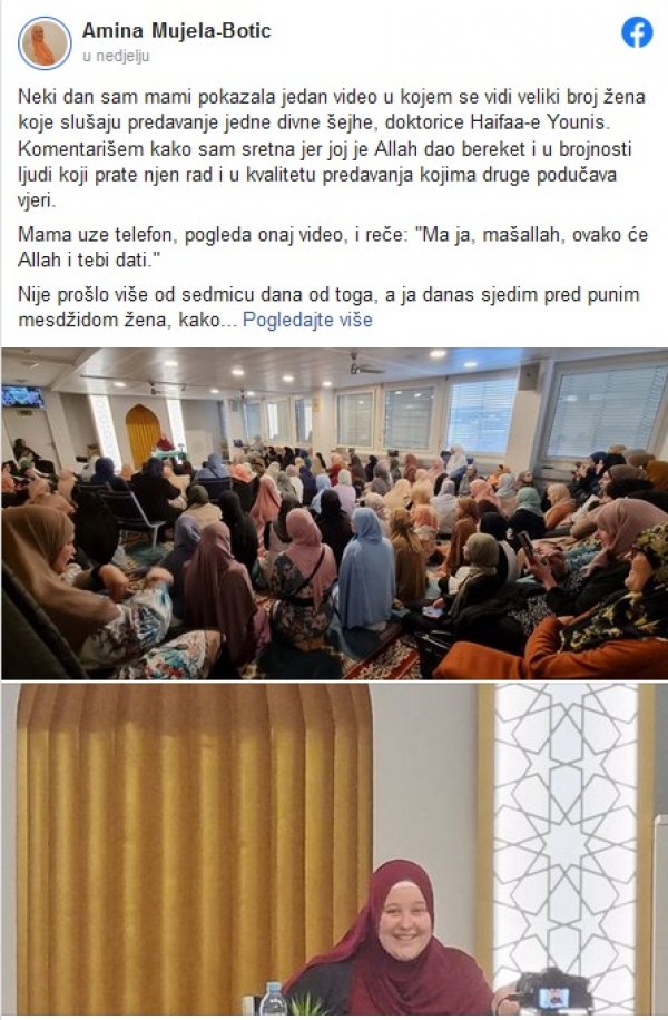 amina-botic-status-predavanje