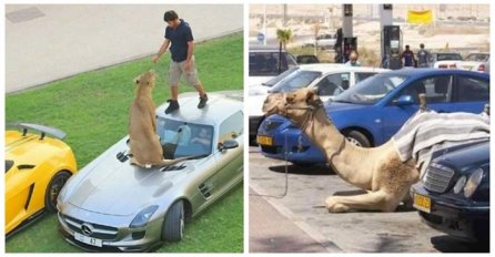 20+ BIZARNIH PRIZORA - EVO OVAKO IZGLEDA ŽIVOT U DUBAIJU: Ovo možete vidjeti SAMO OVDJE I NIGDJE DRUGO