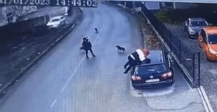 Čopor pasa napao čovjeka, on snimak objavio na Internet, pa uslijedili NOVI NAPADI