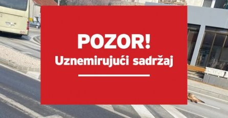 STRAVA U POSUŠJU: Psa svezanog za auto vukli po centru mjesta. 'Užas, samo je nastavio voziti!'