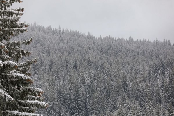 Zbog snijega koji je padao tokom noći otežan saobraćaj na putevima u BiH