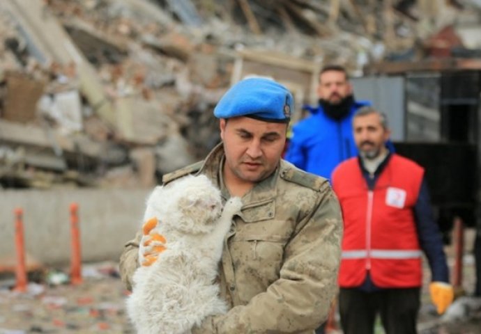 FOTO Turski vojnik iz ruševina u Diyarbakiru spasio mačku