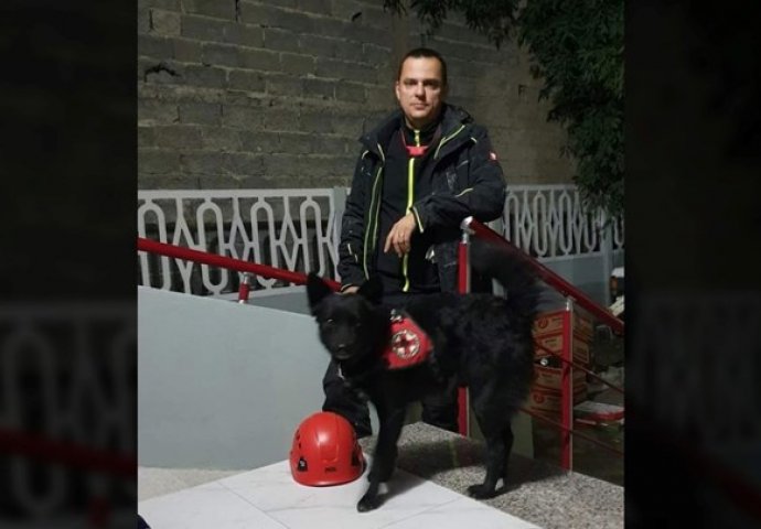 Pas Django iz Hrvatske krenuo je u potragu za preživjelima u ruševinama u Turskoj