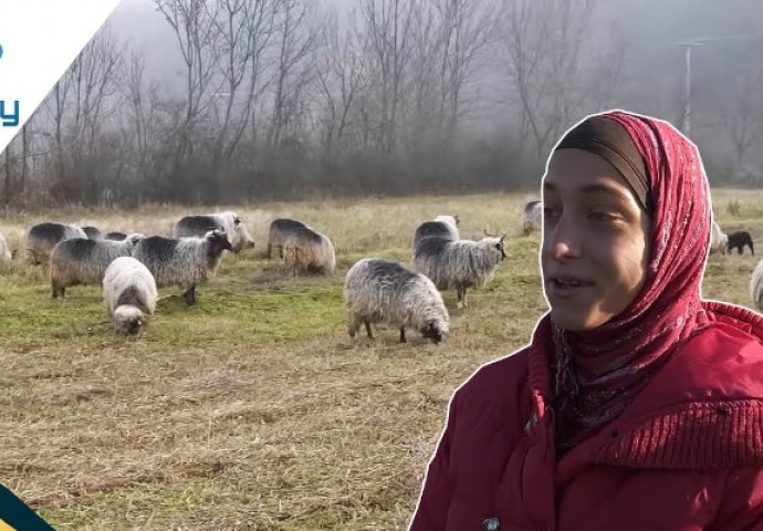  Najmlađa pastirka sa sestrom s posebnim potrebama čuva ovce: OD TOGA SE ŠKOLUJE I ZARAĐUJE DŽEPARAC!