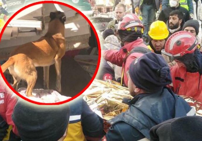 "ZIGI NANJUŠIO ŽIVU OSOBU ISPOD RUŠEVINA": Srpski HEROJ nastavlja sa PODVIZIMA, spasao još 1 ŽIVOT (FOTO)