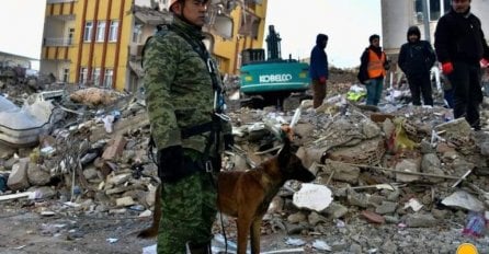 HVALA TI, ISPUNIO SI MISIJU: Pas tragač izgubio život pokušavajući spasiti živote drugih u Turskoj, a već je spasio dvoje ljudi