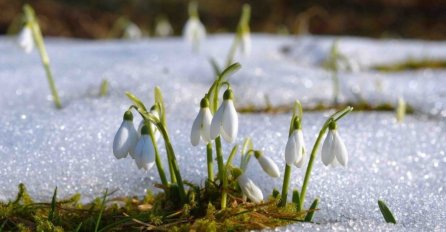 PODSJEĆA NA PROLJEĆE: Evo kakvo nas vrijeme očekuje tokom dana