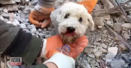 VIDEO Psić 60 sati bio zarobljen u ruševinama u Turskoj, pogledajte spašavanje