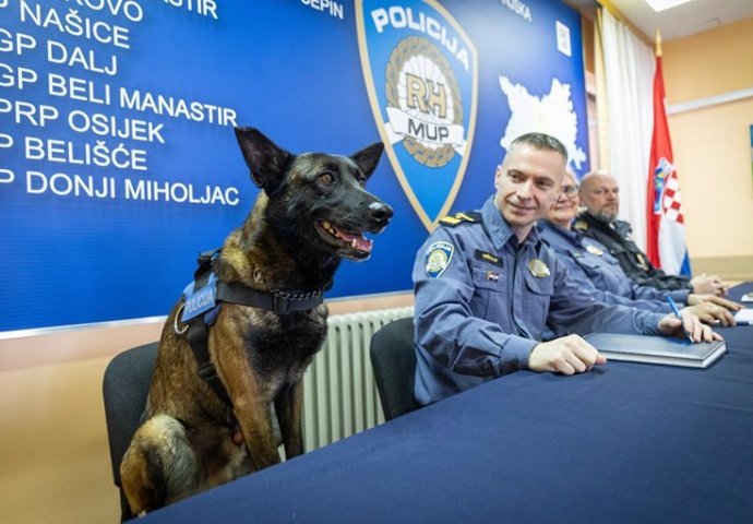 Policijski pas Don bio je zvijezda konferencije za medije, sjedio za stolom i pozirao