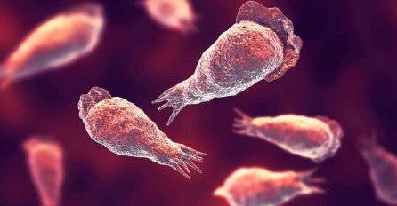 Amerikanac ispirao sinuse vodom iz pipe pa se zarazio amebom koja jede mozak i umro