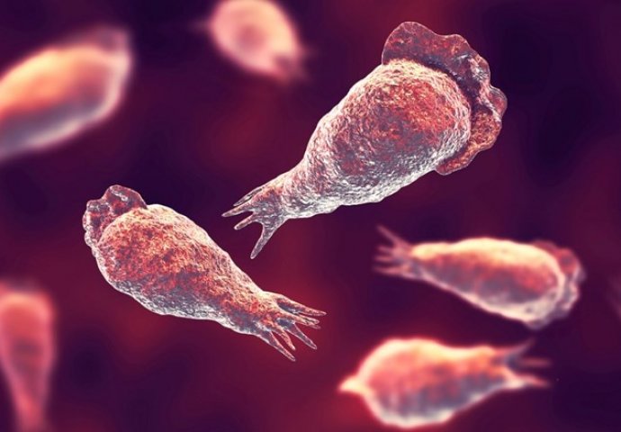 Amerikanac ispirao sinuse vodom iz pipe pa se zarazio amebom koja jede mozak i umro