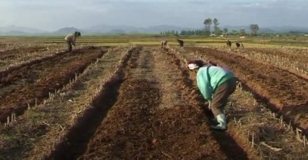 Sjeverna Koreja poziva na "ruralnu revoluciju" dok pojedini strani izvori tvrde kako se zemlja suočava s nestašicom hrane