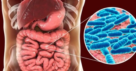 4 JASNA ZNAKA DA JE VAŠE TIJELO PUNO TOKSINA: Signale koje vam organizam šalje ne smijete nikako da ignorišete