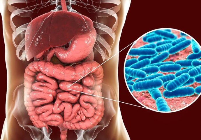 4 JASNA ZNAKA DA JE VAŠE TIJELO PUNO TOKSINA: Signale koje vam organizam šalje ne smijete nikako da ignorišete