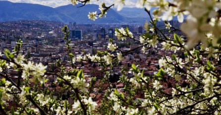 Danas počinje proljeće: Večeras u tačno 22:24, sunce prelazi na sjever