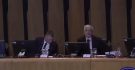 NI NADREALISTI IM NISU RAVNI! Špirić tokom sjednice poručio Ademoviću: "Ma boli te...."