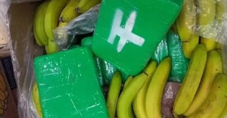 U pošiljci banana iz Ekvadora našli dvije tone kokaina