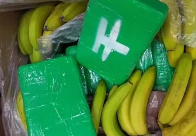 U pošiljci banana iz Ekvadora našli dvije tone kokaina