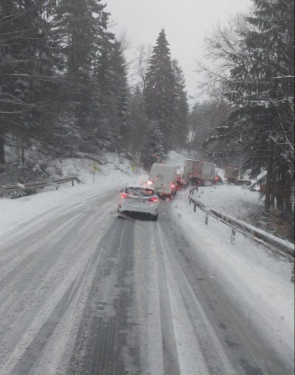 077734dc-b377-44d4-8825-372c2b36d417