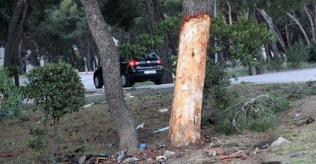 TRAGEDIJA NA ULAZU U POZNATI HOTEL Dva mladića preminula nakon što su se autom zabili u stablo