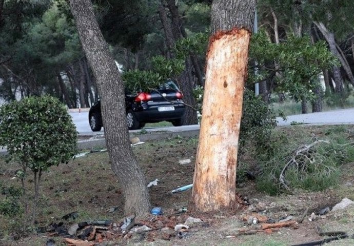 TRAGEDIJA NA ULAZU U POZNATI HOTEL Dva mladića preminula nakon što su se autom zabili u stablo