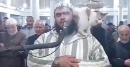 Mačka skočila na imama dok je predvodio ramazansku molitvu: Snimka je postala viralna