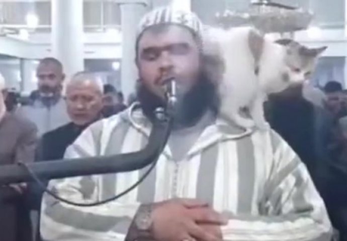 Mačka skočila na imama dok je predvodio ramazansku molitvu: Snimka je postala viralna