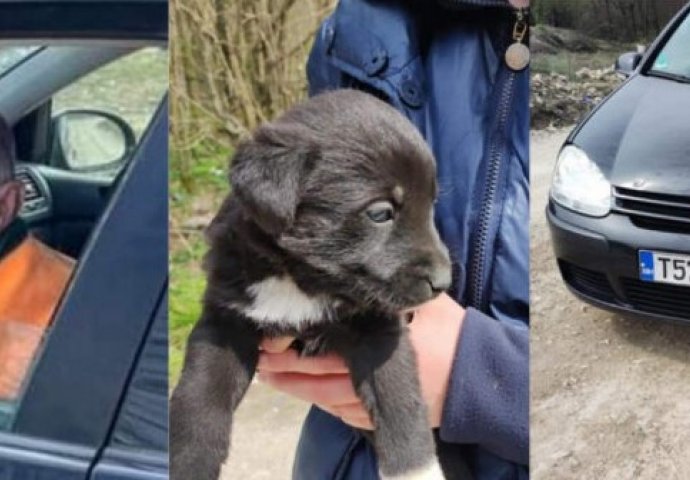 HASO SNIMLJEN KAKO OSTAVLJA PSIĆE PORED PUTA: Ostavio ih je bez hrane i vode