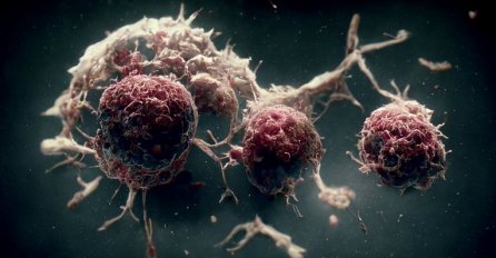 Studija bez presedana: Rak se može razvijati "gotovo beskonačno"