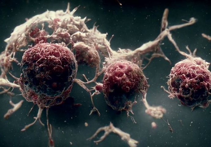 Studija bez presedana: Rak se može razvijati "gotovo beskonačno"
