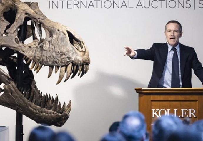 Ovo je kostur T-Rexa koji je jučer u Švicarskoj prodan za 5.6 miliona eura